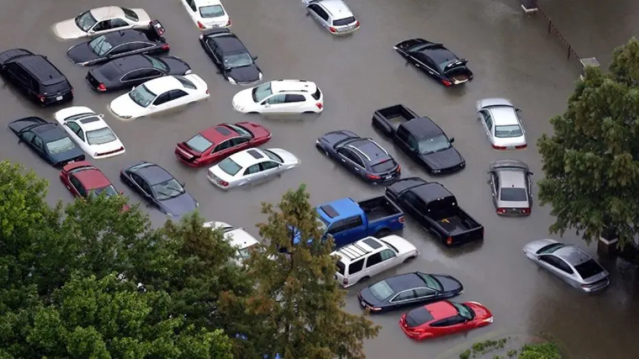 hurricane florence
