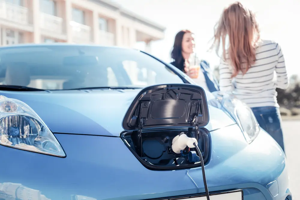 EV owners