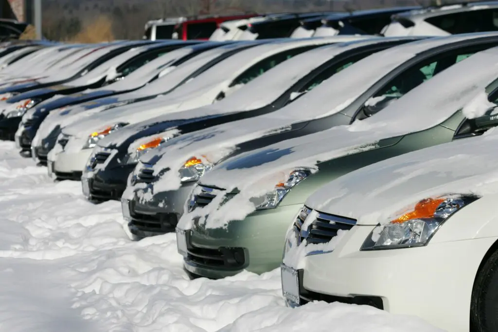winter preparation