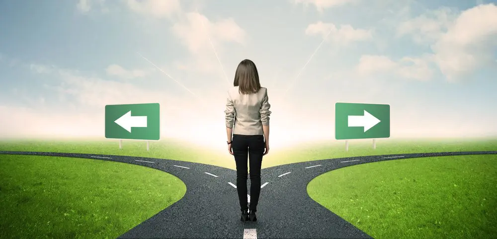 career paths