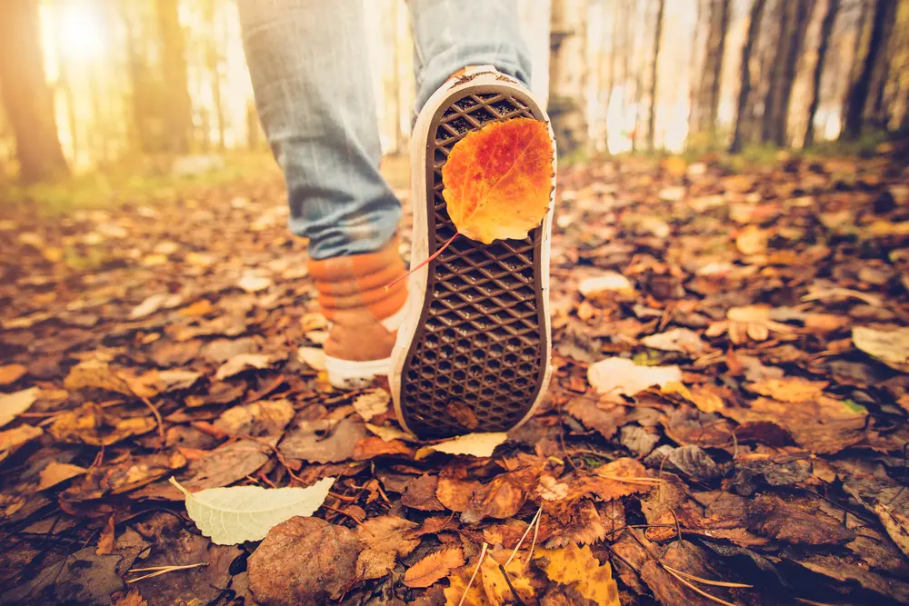 fall