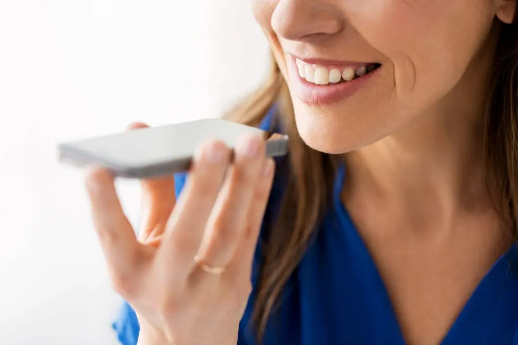voice search