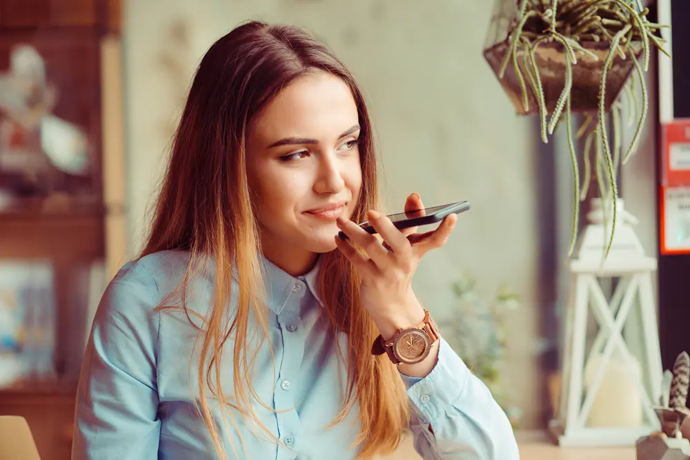 voice search