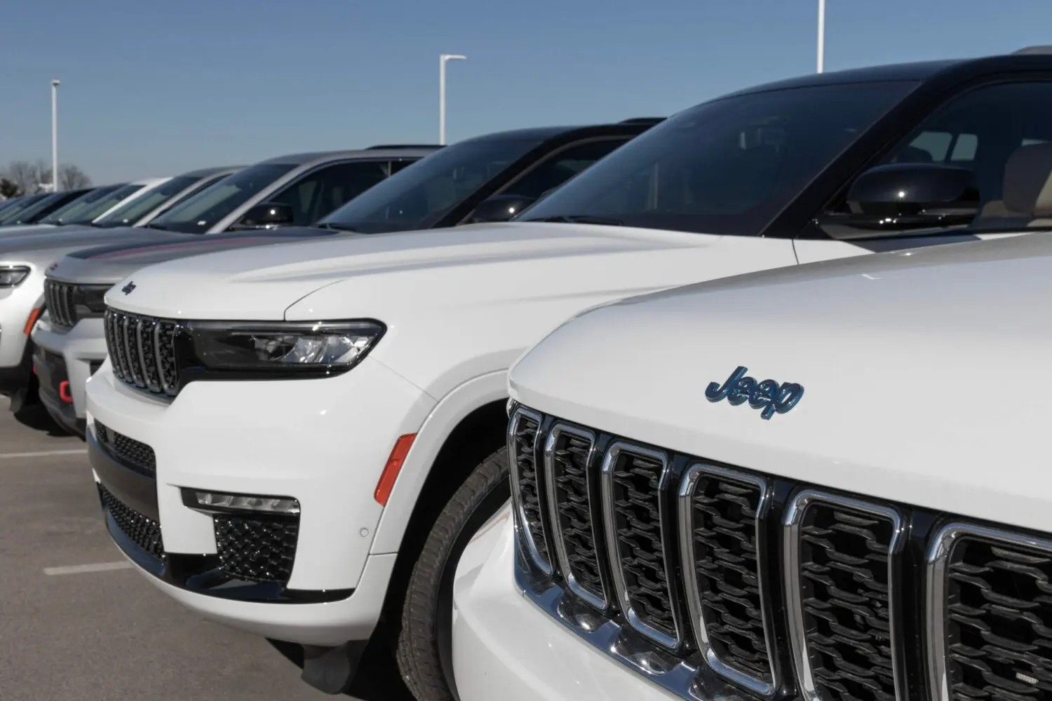 A Delaware auto dealer says he is experiencing earlier-than-expected consequences from the state's proposed gas-powered vehicle ban.