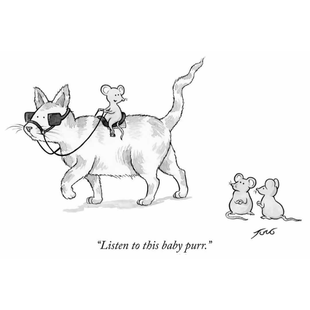 Listen To This Baby Purr