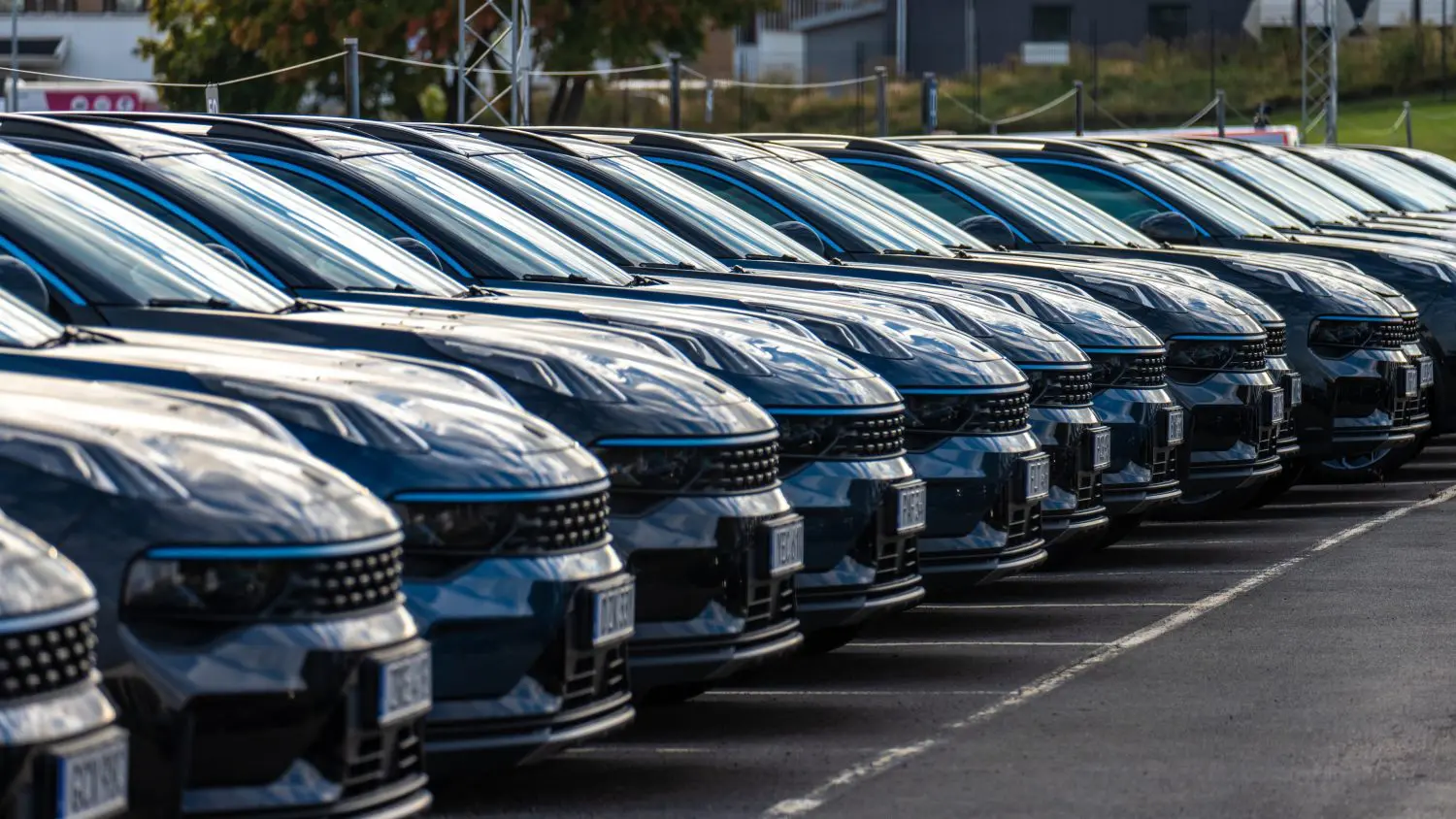 wholesale used-vehicle