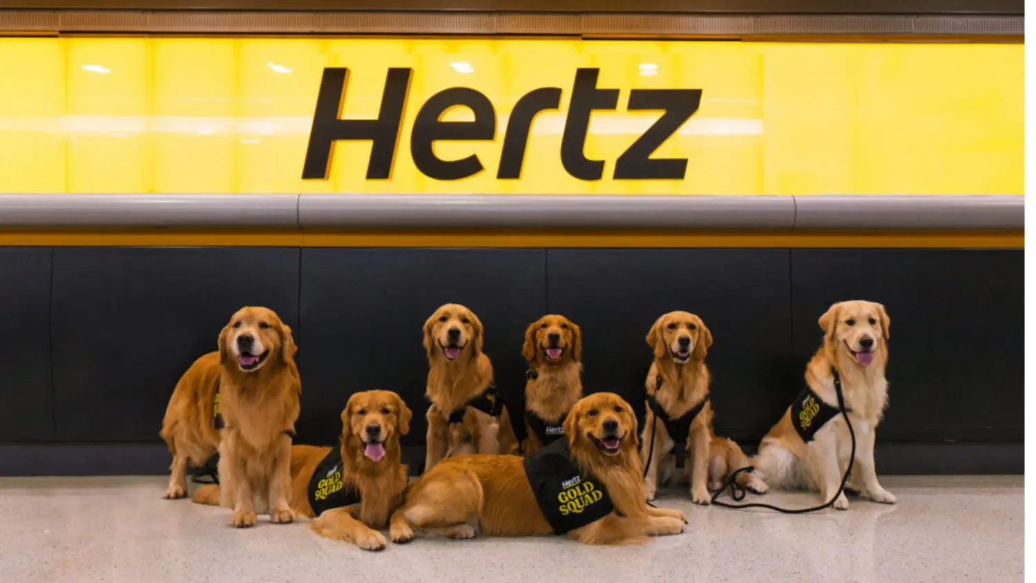 Hertz
