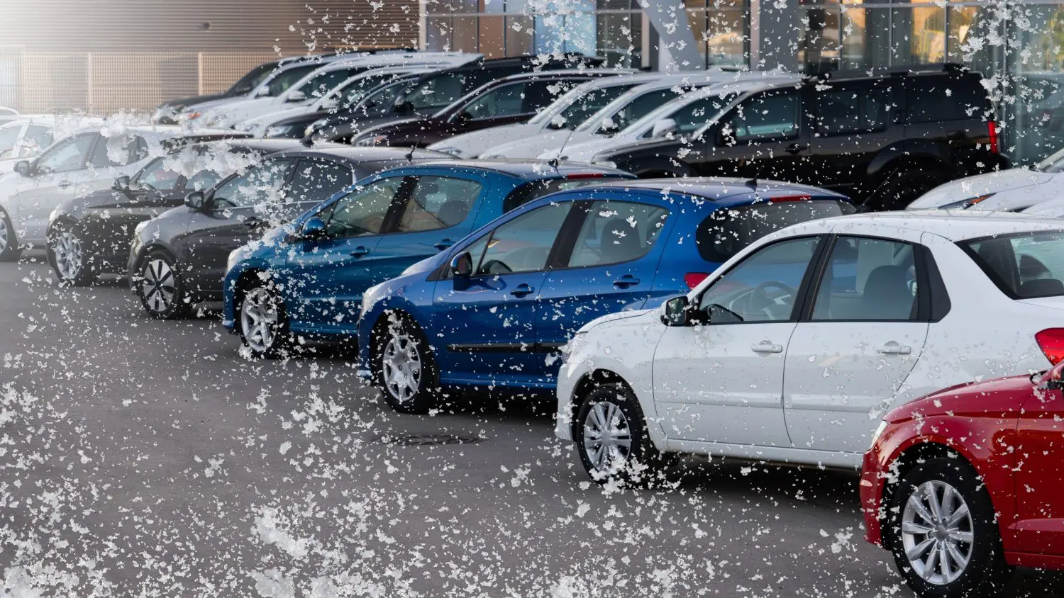 Winter savings