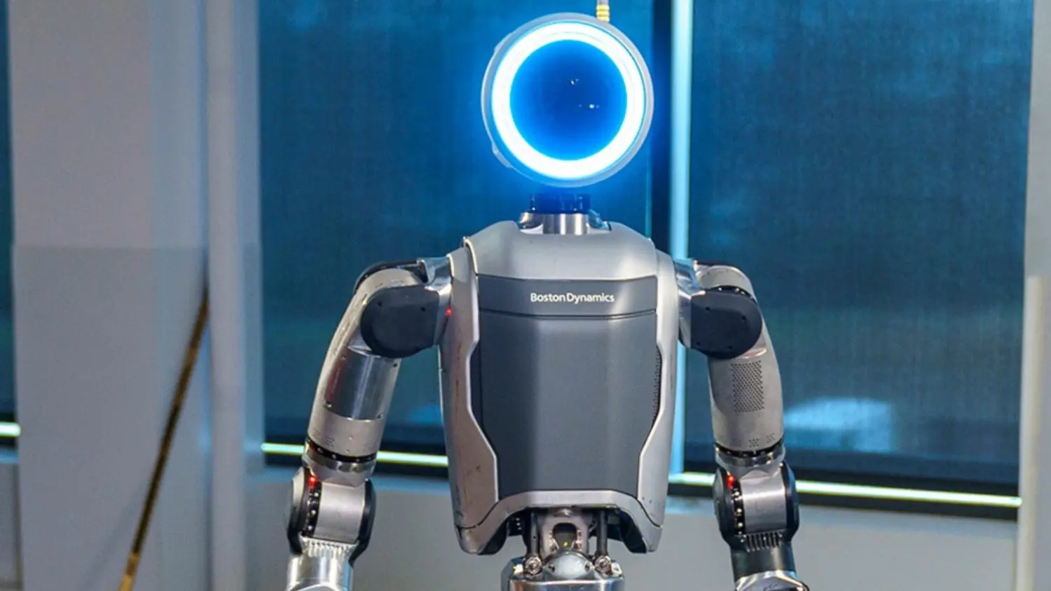 robots