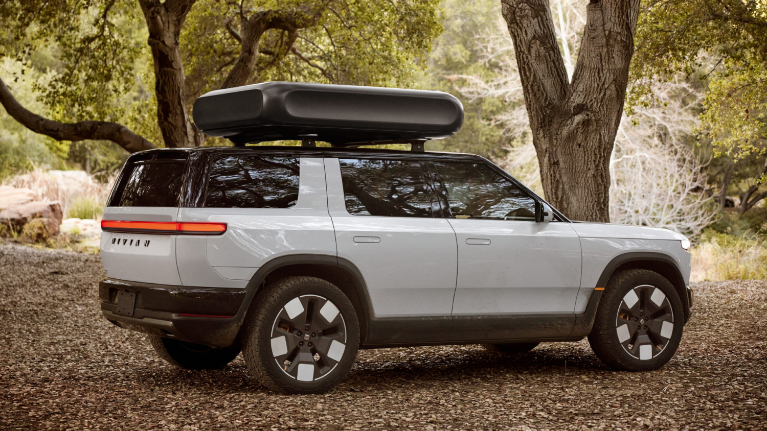 Rivian, EV