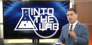 The Role of Video Marketing in the Automotive Industry video marketing