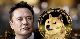 Dogecoin investor accuses Elon Musk of running a pyramid scheme, files $258 billion lawsuit
