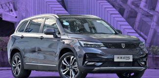 Liteborne Motor Corp. plans to deepen relationship with Chinese EVs in 2023 Al Wagner EVs Skywell