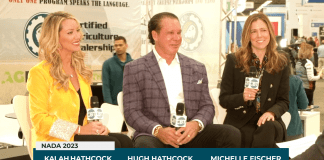 Vehlo acquires Velocity Automotive to expand suite of vehicle reconditioning software Vehlo acquires Velocity Automotive