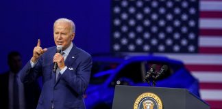 Government pressure on OEMs to produce EVs: An industry misstep?