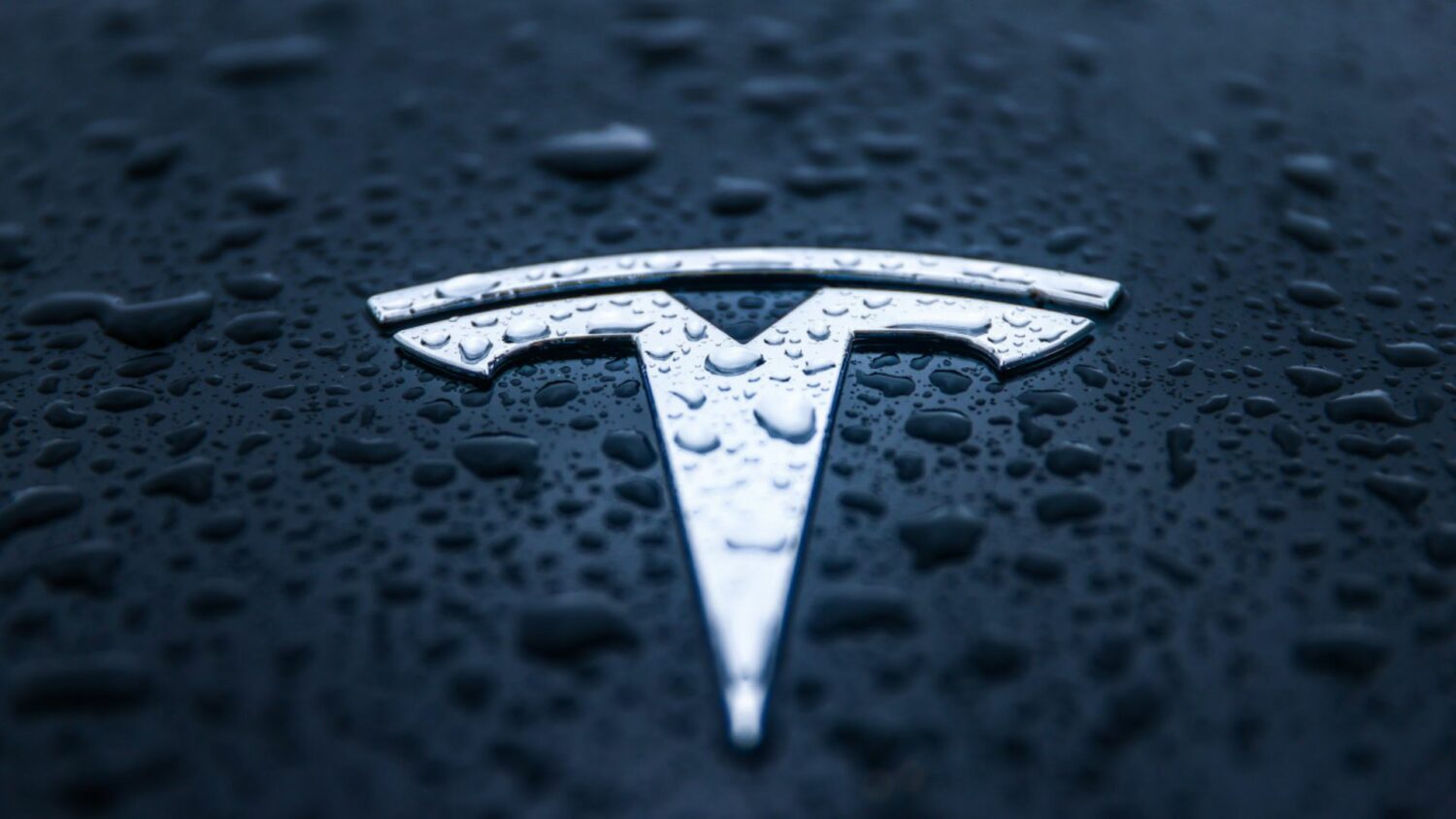 Tesla Logo Car Cover – Trend Way Market