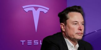 Tesla profits plummet in Q1, company accelerates new product development Tesla reported $1.13 billion in net income for the January-through-March period as the effect of slow sales and price cuts cut into profits.