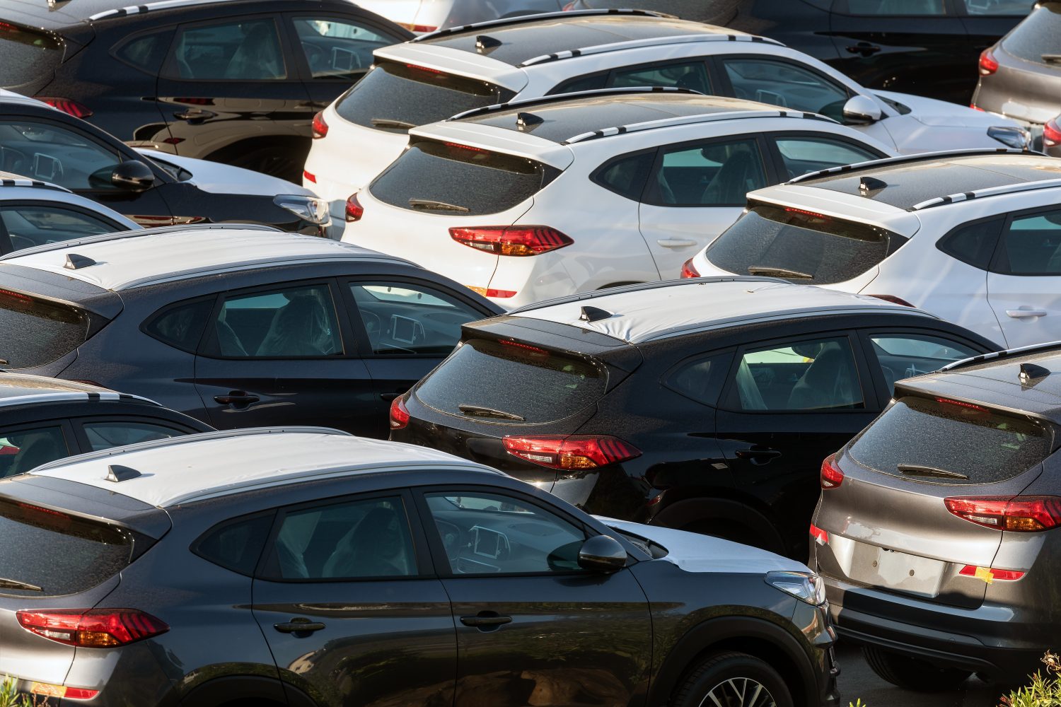 Wholesale prices for used cars rose 0.5% in the first half of August compared to July, while the Manheim used car value rose to 202.6.