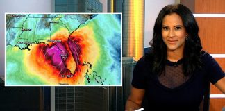 Hurricane Helene hits dealers in the Southeast, Ford’s BlueCruise update, VW’s ID. Buzz criticized for price and availability