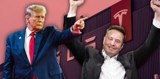 Musk’s $119 million support for Trump could reshape auto policy Elon Musk's $119 million investment in Trump could reshape the automotive industry's regulations