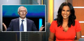 Carlos Tavares resigns amid leadership disputes, VW workers strike in Germany, Tesla leads November’s global market