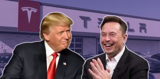 Tesla wins as Trump team targets crash reporting requirement Tesla wins as Trump team targets crash reporting requirement