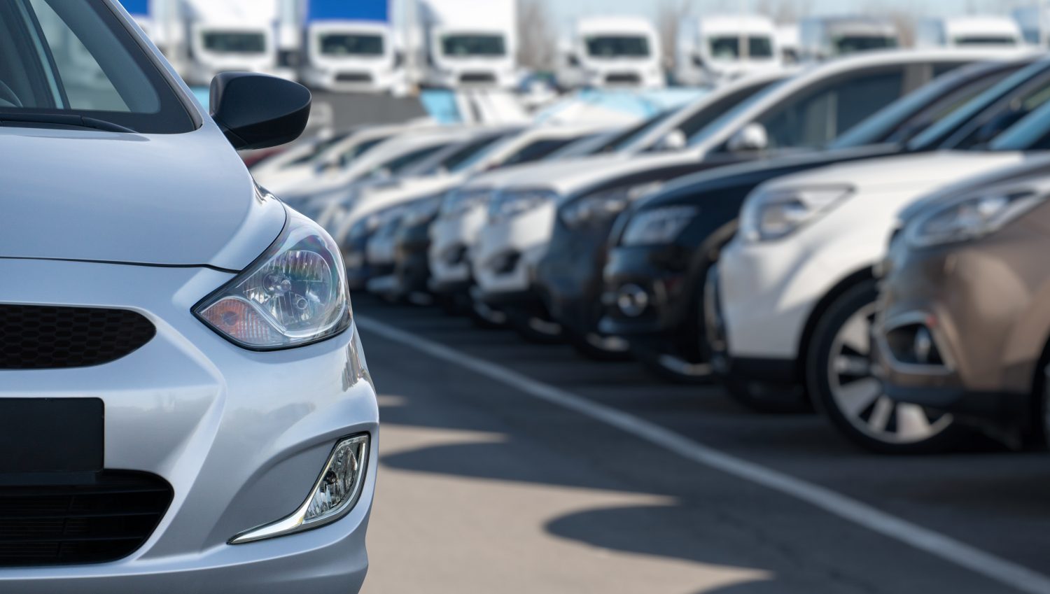 According to Cox Automotive's vAuto Live Market View data analysis, the used vehicle inventory in December remained stable.