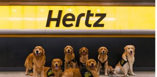 Hertz debuts ‘Gold Squad’ to soothe travelers, promote loyalty program Hertz