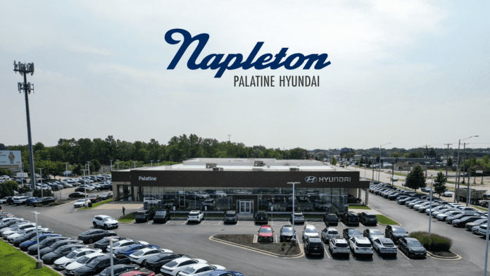 Steve Napleton Automotive Group