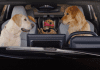 The Subaru Barkley family is back on (and off) the road in new “Dog Tested. Dog Approved.” TV ads Subaru brings back the Barkley dogs in a new “Dog Tested. Dog Approved.” ad campaign featuring new models, humor, and pet-friendly stories.
