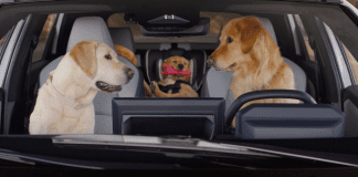 The Subaru Barkley family is back on (and off) the road in new “Dog Tested. Dog Approved.” TV ads Subaru brings back the Barkley dogs in a new “Dog Tested. Dog Approved.” ad campaign featuring new models, humor, and pet-friendly stories.