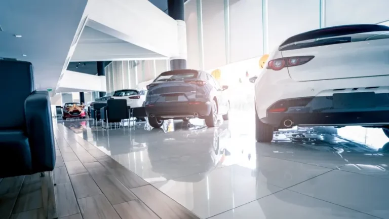 The car dealer looks real. The website is a lie